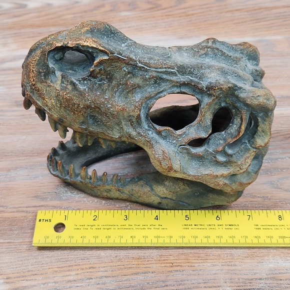 Dinosaur Faux Head for Children's Rokm or anywhere! - Picture 4 of 6